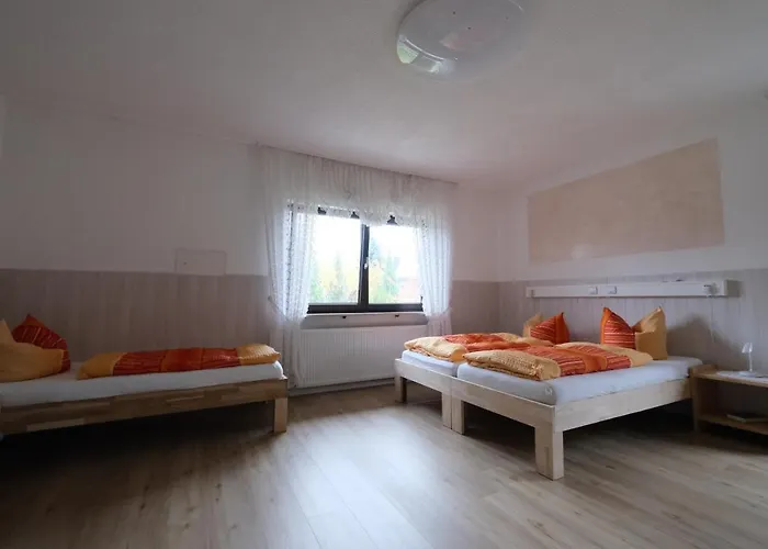 Hofmann 3*