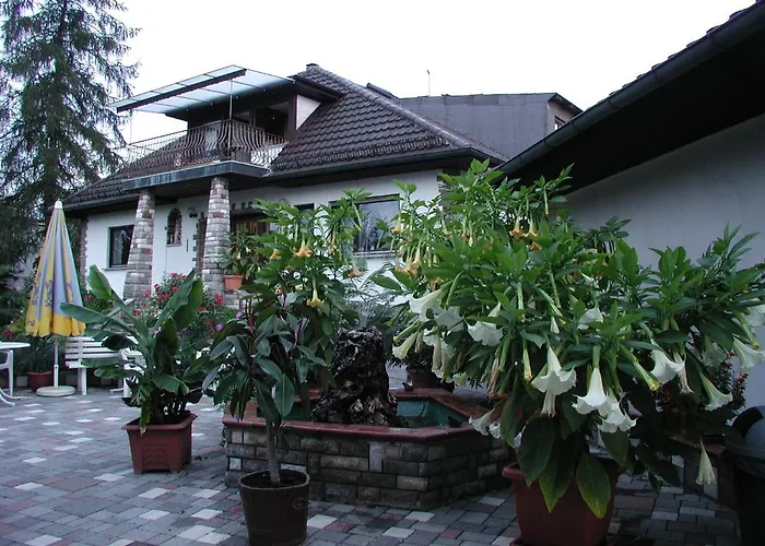 Hofmann 3*