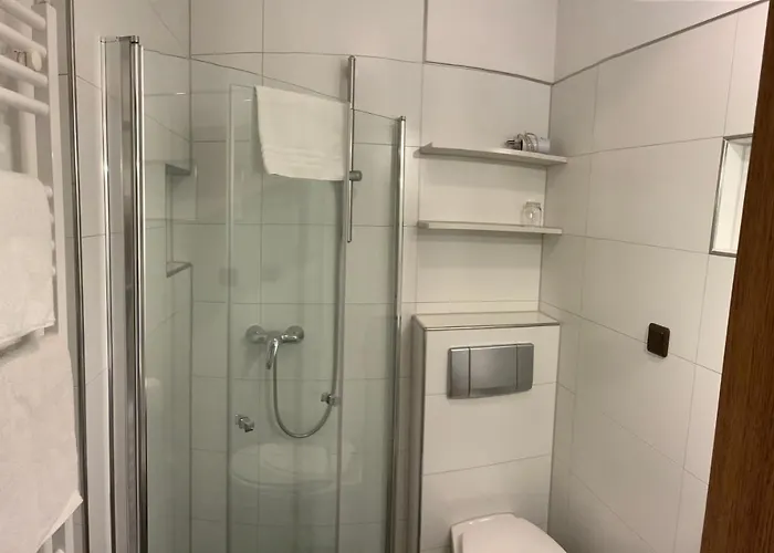 Hofmann 3*